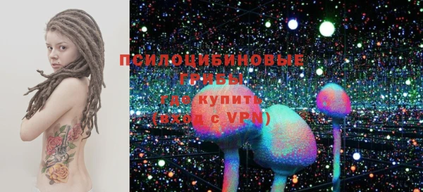 прущие грибы Абинск