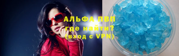 прущие грибы Абинск