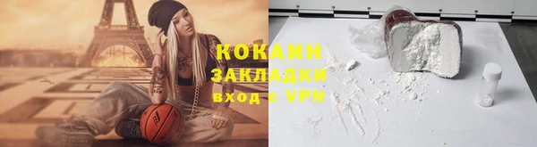 прущие грибы Абинск