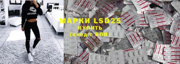 прущие грибы Абинск