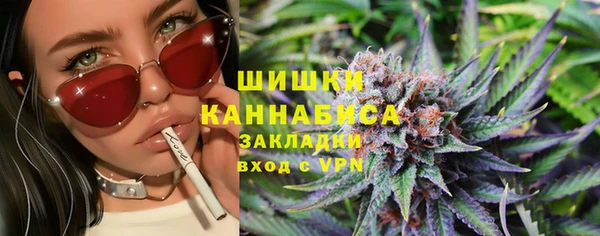 прущие грибы Абинск