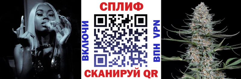 Каннабис конопля  где купить наркотик  Ачхой-Мартан 